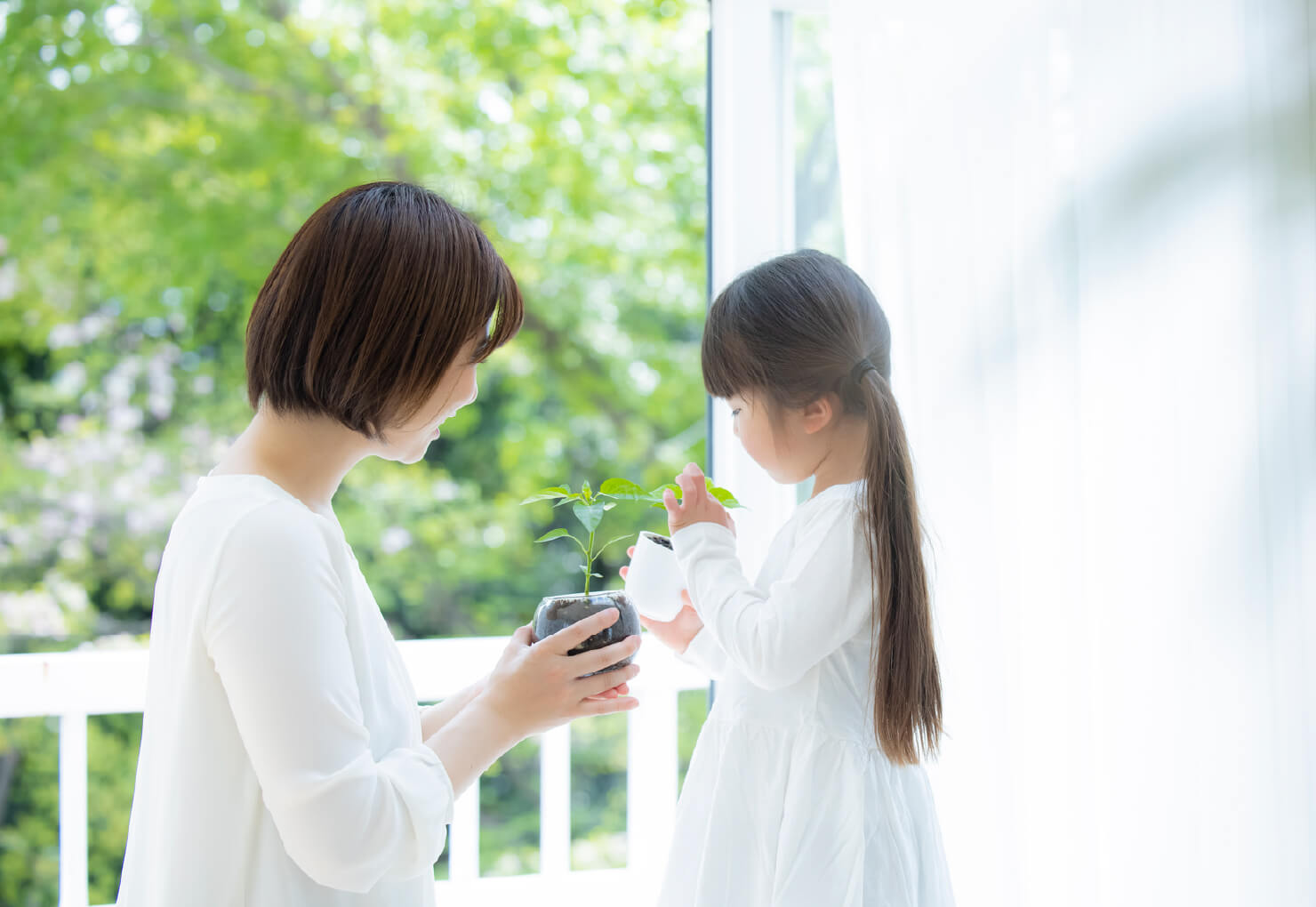 かけがえのない地球の健康を守る家づくり