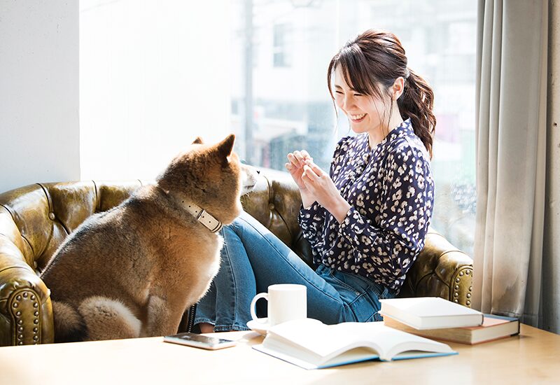 ペットと暮らす家実例紹介